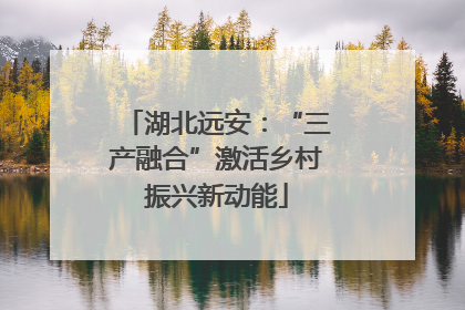 湖北远安：“三产融合”激活乡村振兴新动能