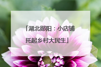 湖北郧阳：小店铺托起乡村大民生