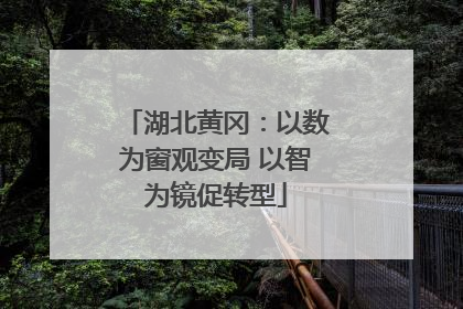 湖北黄冈：以数为窗观变局 以智为镜促转型