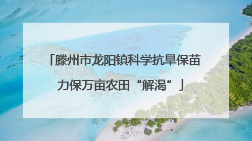 滕州市龙阳镇科学抗旱保苗 力保万亩农田“解渴”