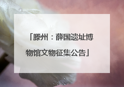 滕州：薛国遗址博物馆文物征集公告