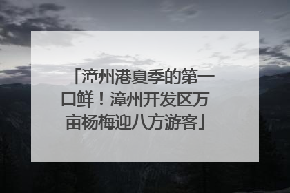 漳州港夏季的第一口鲜！漳州开发区万亩杨梅迎八方游客
