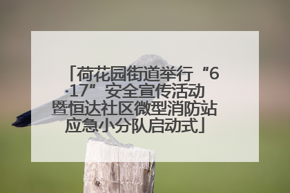 荷花园街道举行“6·17”安全宣传活动暨恒达社区微型消防站应急小分队启动式