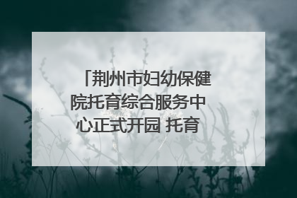 荆州市妇幼保健院托育综合服务中心正式开园 托育宣传月同步启动