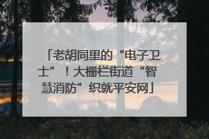 老胡同里的“电子卫士”！大栅栏街道“智慧消防”织就平安网