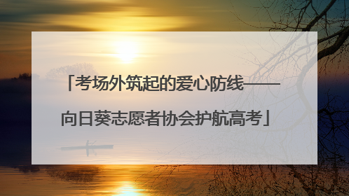 考场外筑起的爱心防线——向日葵志愿者协会护航高考
