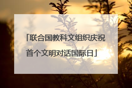 联合国教科文组织庆祝首个文明对话国际日