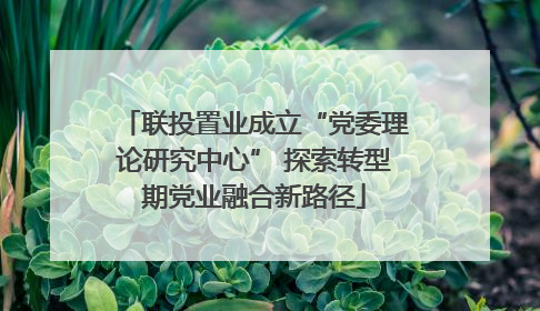 联投置业成立“党委理论研究中心” 探索转型期党业融合新路径