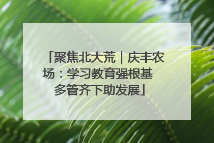 聚焦北大荒｜庆丰农场：学习教育强根基 多管齐下助发展