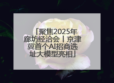 聚焦2025年廊坊经洽会丨京津冀首个AI招商选址大模型亮相