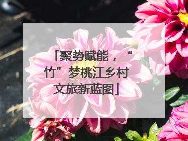 聚势赋能，“竹”梦桃江乡村文旅新蓝图