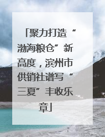 聚力打造“渤海粮仓”新高度，滨州市供销社谱写“三夏”丰收乐章