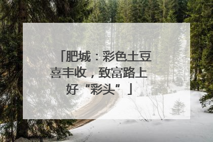 肥城：彩色土豆喜丰收，致富路上好“彩头”