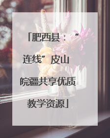 肥西县：“连线”皮山 皖疆共享优质教学资源