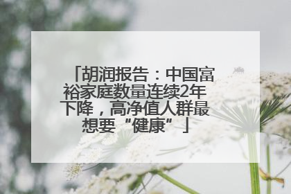 胡润报告：中国富裕家庭数量连续2年下降，高净值人群最想要“健康”