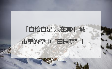 自给自足 乐在其中 城市里的空中“田园梦”