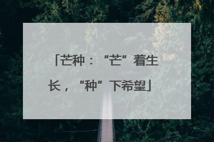 芒种：“芒”着生长，“种”下希望