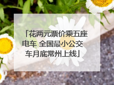 花两元票价乘五座电车 全国最小公交车月底常州上线