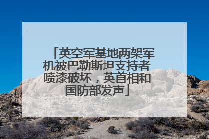英空军基地两架军机被巴勒斯坦支持者喷漆破坏，英首相和国防部发声