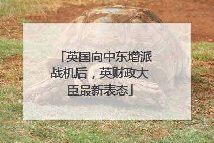 英国向中东增派战机后，英财政大臣最新表态