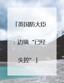 英国防大臣：边境“已经失控”