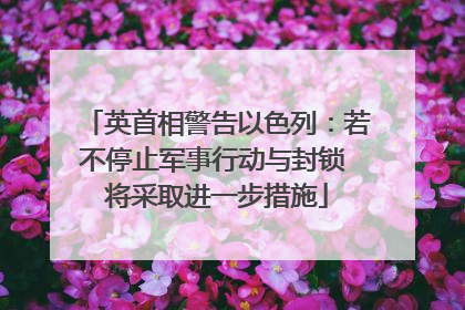 英首相警告以色列：若不停止军事行动与封锁 将采取进一步措施