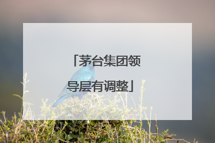 茅台集团领导层有调整