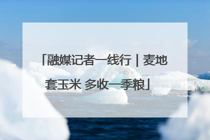 融媒记者一线行｜麦地套玉米 多收一季粮