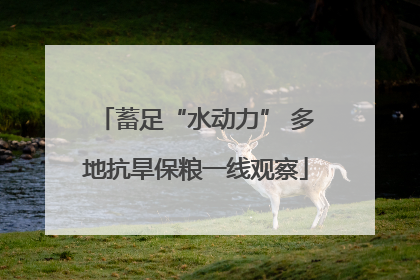 蓄足“水动力” 多地抗旱保粮一线观察