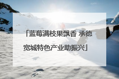 蓝莓满枝果飘香 承德宽城特色产业助振兴