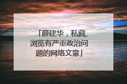 薛建华，私藏、浏览有严重政治问题的网络文章