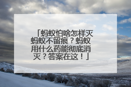 蚂蚁怕啥怎样灭蚂蚁不留痕？蚂蚁用什么药能彻底消灭？答案在这！