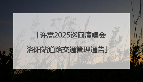 许嵩2025巡回演唱会洛阳站道路交通管理通告