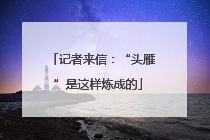记者来信：“头雁”是这样炼成的