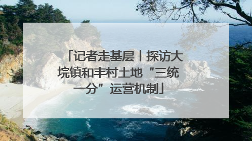 记者走基层丨探访大垸镇和丰村土地“三统一分”运营机制
