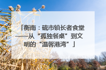 衡南：硫市镇长者食堂——从“孤独餐桌”到文明的“温馨港湾”