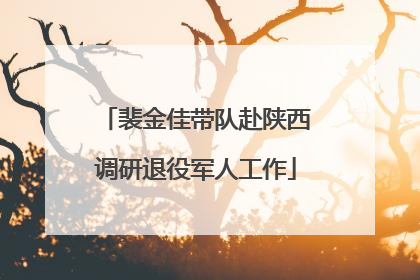裴金佳带队赴陕西调研退役军人工作