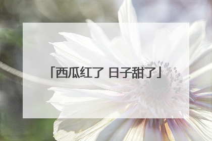 西瓜红了 日子甜了
