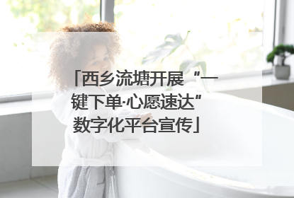 西乡流塘开展“一键下单·心愿速达”数字化平台宣传