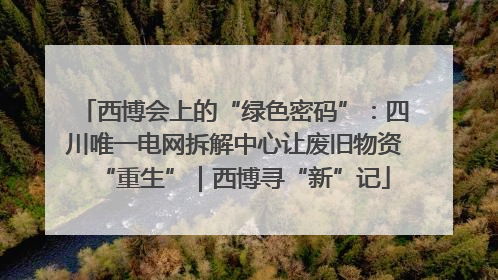西博会上的“绿色密码”：四川唯一电网拆解中心让废旧物资“重生”｜西博寻“新”记