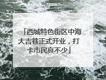 西城特色街区中海大吉巷正式开业，打卡市民真不少