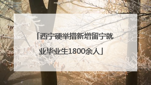 西宁硬举措新增留宁就业毕业生1800余人