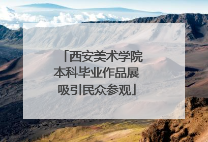 西安美术学院本科毕业作品展吸引民众参观