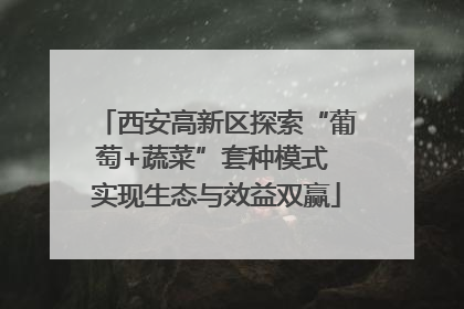 西安高新区探索“葡萄+蔬菜”套种模式 实现生态与效益双赢