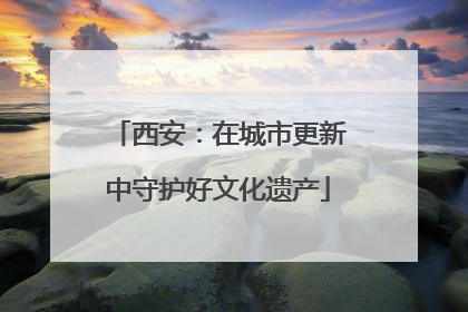 西安：在城市更新中守护好文化遗产