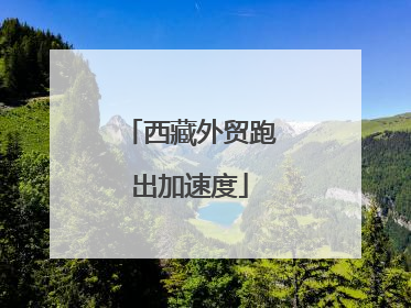 西藏外贸跑出加速度