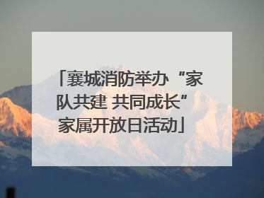 襄城消防举办“家队共建 共同成长”家属开放日活动