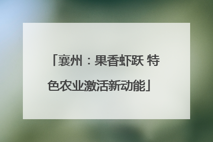 襄州：果香虾跃 特色农业激活新动能