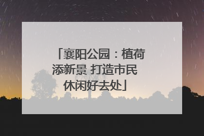 襄阳公园：植荷添新景 打造市民休闲好去处
