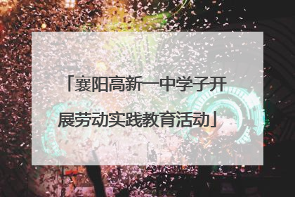 襄阳高新一中学子开展劳动实践教育活动